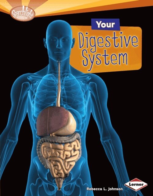 Rebecca L. Johnson - Your Digestive System, E-bok