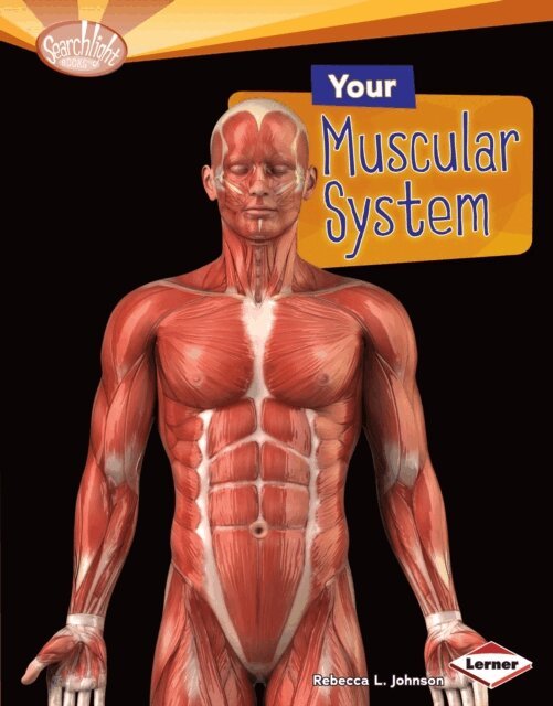 Rebecca L. Johnson - Your Muscular System, E-bok