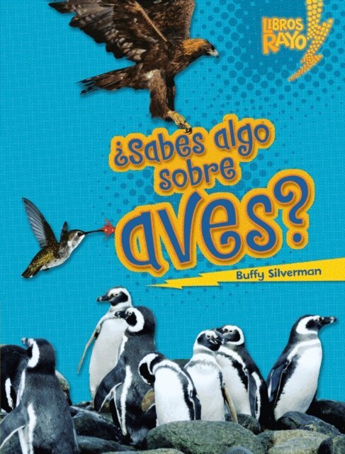 Buffy Silverman - ¿Sabes algo sobre aves? (Do You Know about Birds?), E-bok