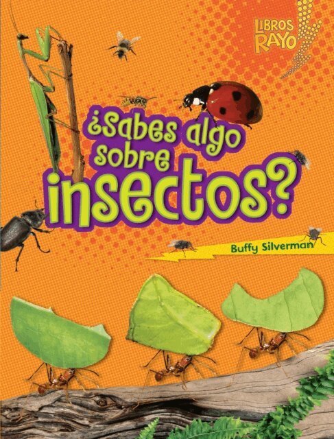 Buffy Silverman - ¿Sabes algo sobre insectos? (Do You Know about Insects?), E-bok