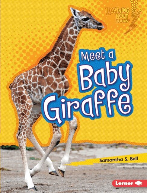 Samantha S. Bell - Meet a Baby Giraffe, E-bok