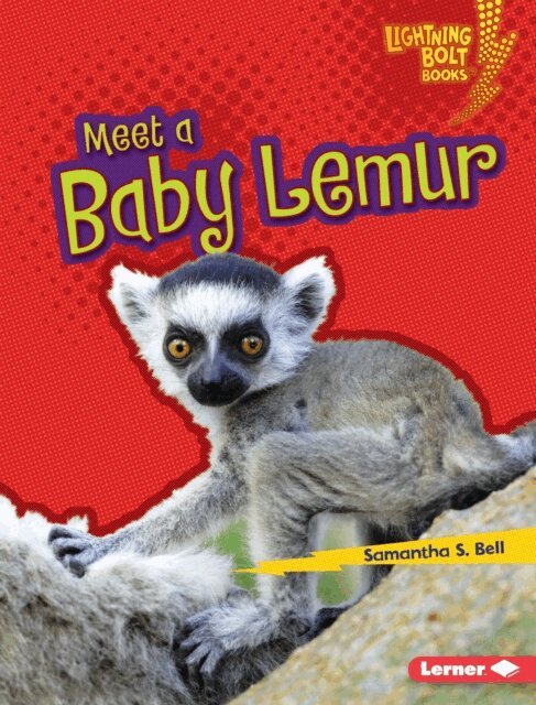 Samantha S. Bell - Meet a Baby Lemur, E-bok