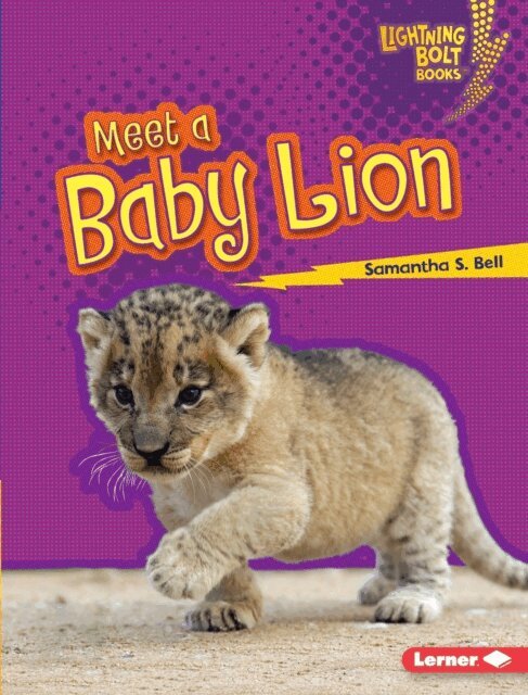 Samantha S. Bell - Meet a Baby Lion, E-bok