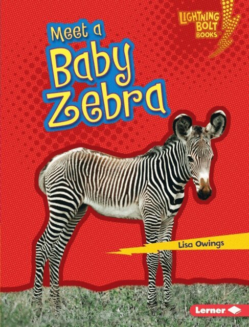 Lisa Owings - Meet a Baby Zebra, E-bok