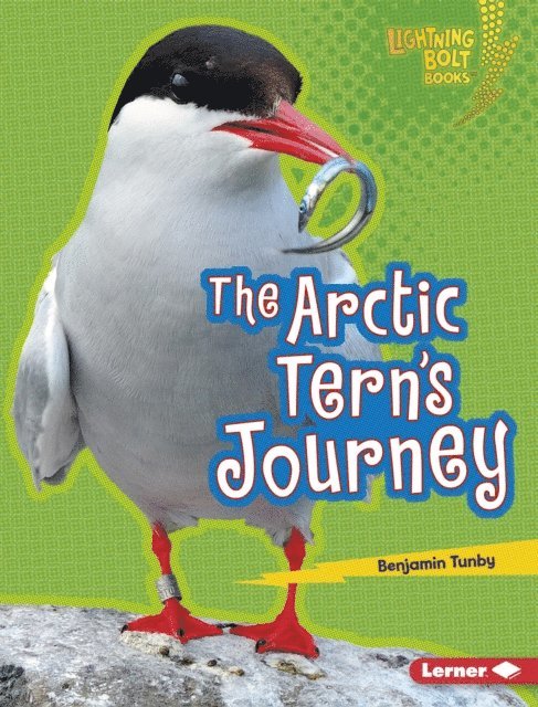 Benjamin Tunby - Arctic Tern's Journey, E-bok. Tillgänglighet: Lägg i varukorg