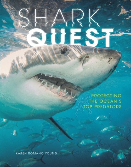Karen Romano Young - Shark Quest, E-bok