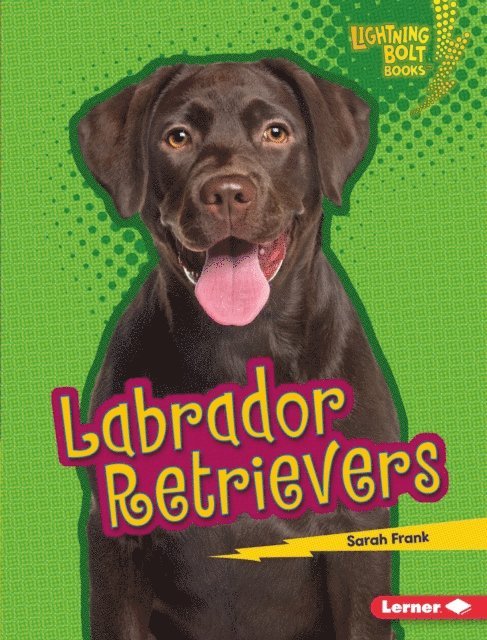 Sarah Frank - Labrador Retrievers, E-bok