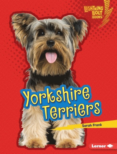 Sarah Frank - Yorkshire Terriers, E-bok