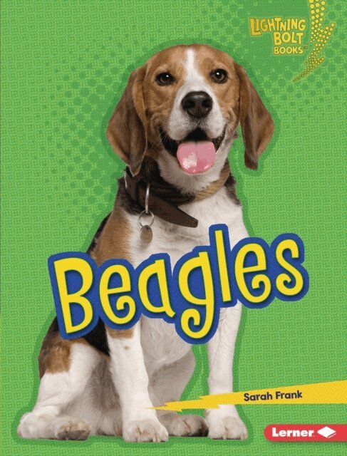 Sarah Frank - Beagles, E-bok