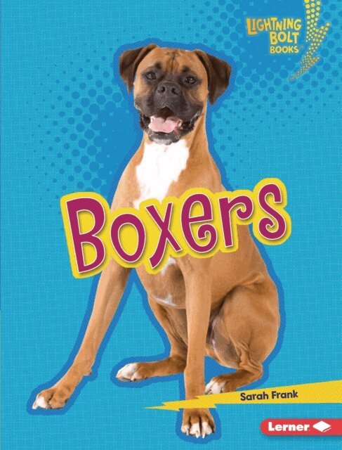 Sarah Frank - Boxers, E-bok