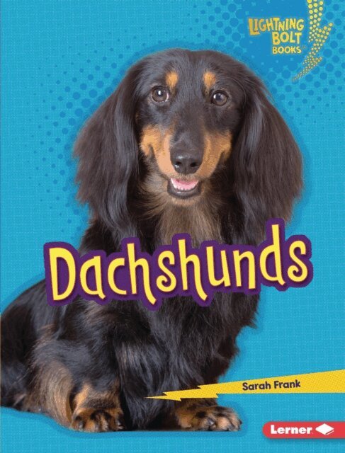 Sarah Frank - Dachshunds, E-bok