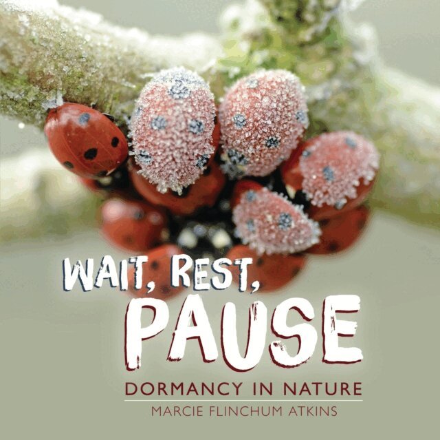 Marcie Flinchum Atkins - Wait, Rest, Pause, E-bok