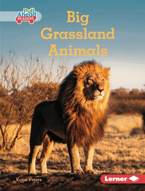 Katie Peters - Big Grassland Animals, E-bok