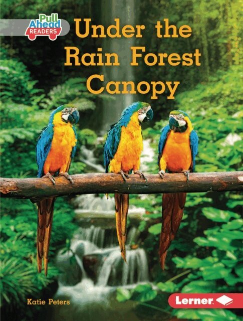 Katie Peters - Under the Rain Forest Canopy, E-bok