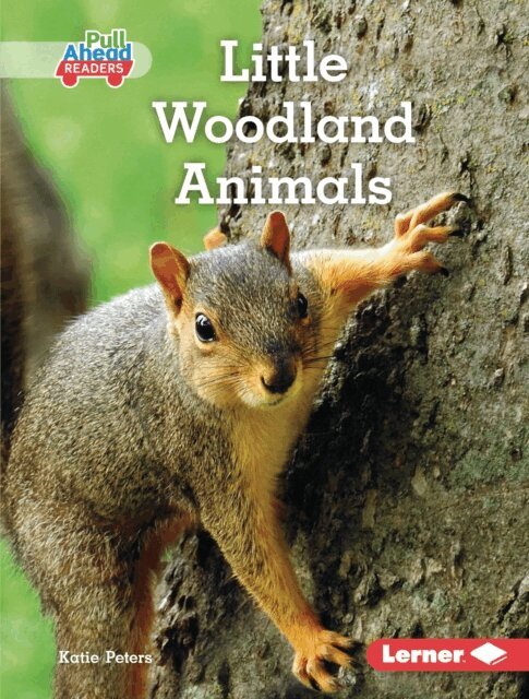 Katie Peters - Little Woodland Animals, E-bok