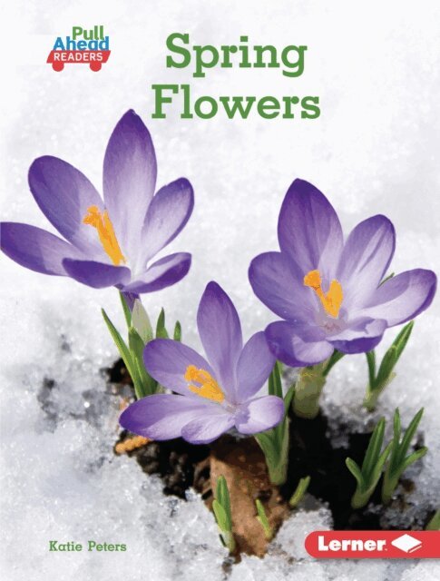 Katie Peters - Spring Flowers, E-bok