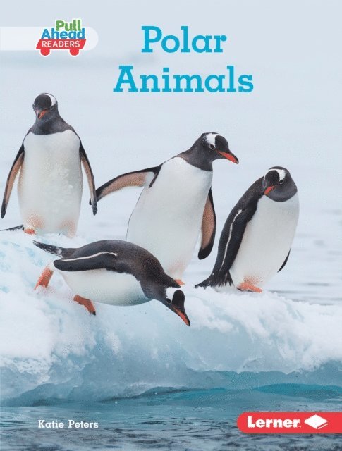 Katie Peters - Polar Animals, E-bok