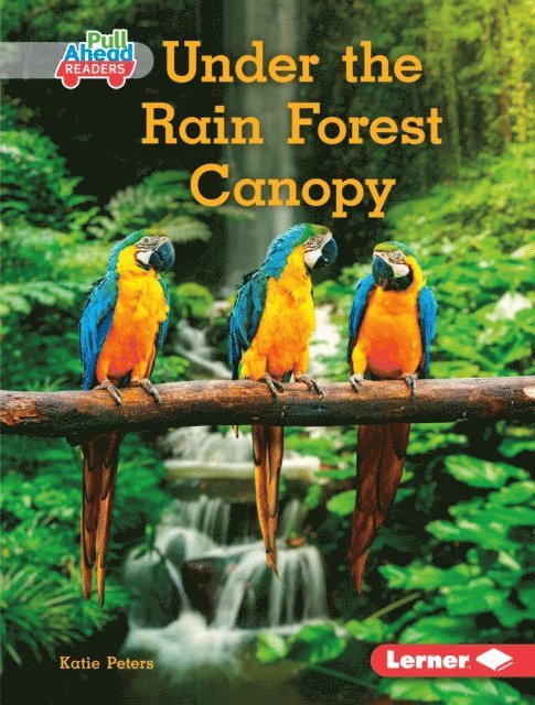 Katie Peters - Under the Rain Forest Canopy, E-bok