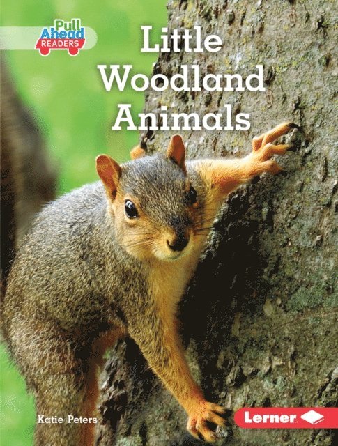 Katie Peters - Little Woodland Animals, E-bok