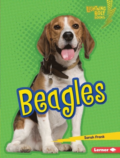 Sarah Frank - Beagles, E-bok