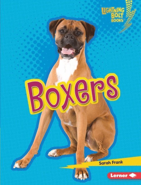 Sarah Frank - Boxers, E-bok