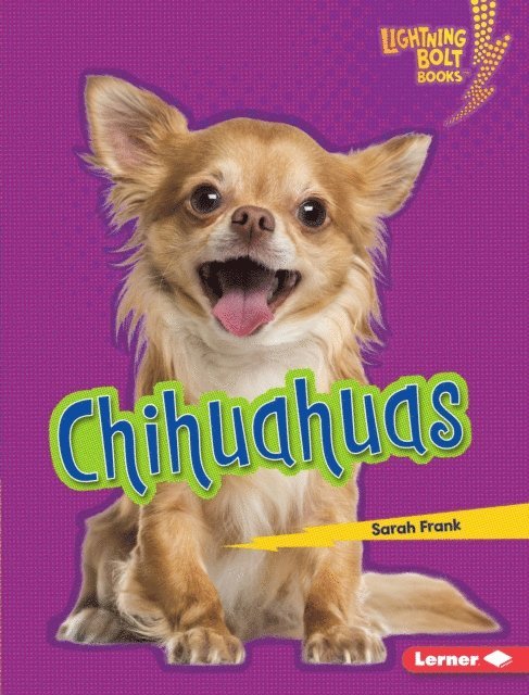 Sarah Frank - Chihuahuas, E-bok