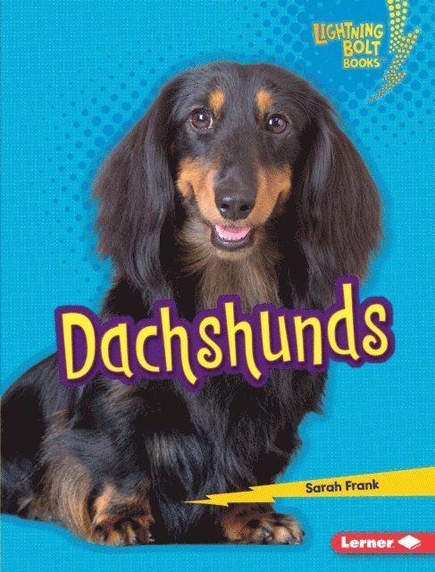 Sarah Frank - Dachshunds, E-bok