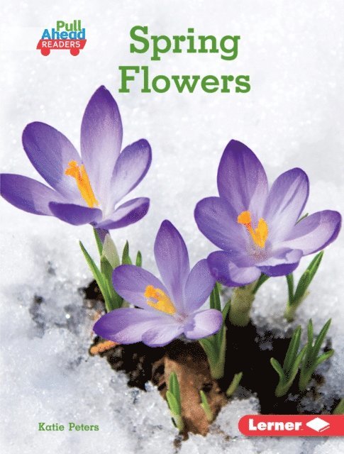 Katie Peters - Spring Flowers, E-bok