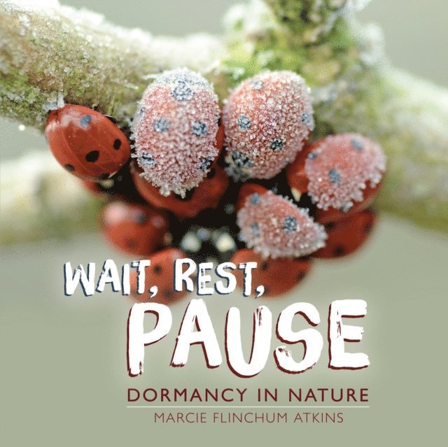 Marcie Flinchum Atkins - Wait, Rest, Pause, E-bok