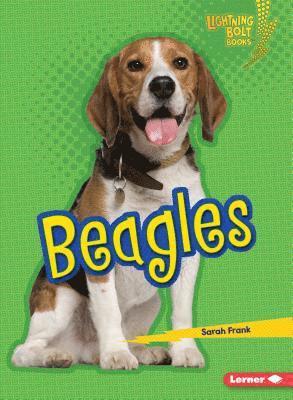 Sarah Frank - Beagles, Häftad