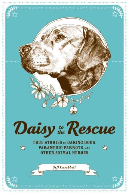 Jeff Campbell - Daisy to the Rescue, E-bok
