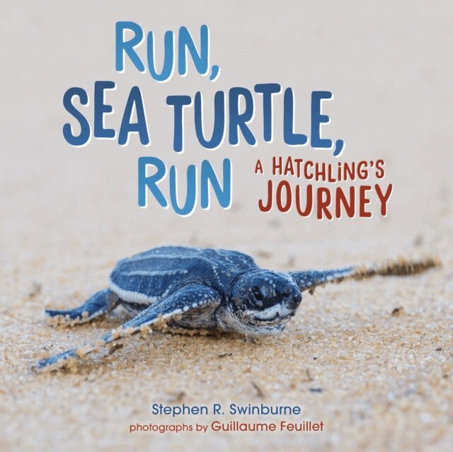 Stephen R. Swinburne - Run, Sea Turtle, Run, E-bok