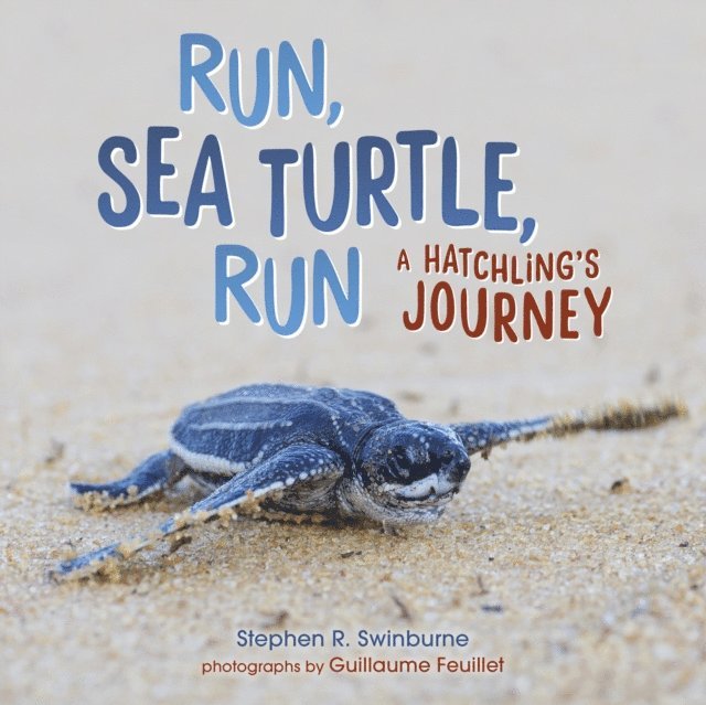 Stephen R. Swinburne - Run, Sea Turtle, Run, E-bok