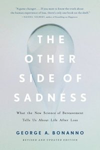 The Other Side of Sadness (Revised)