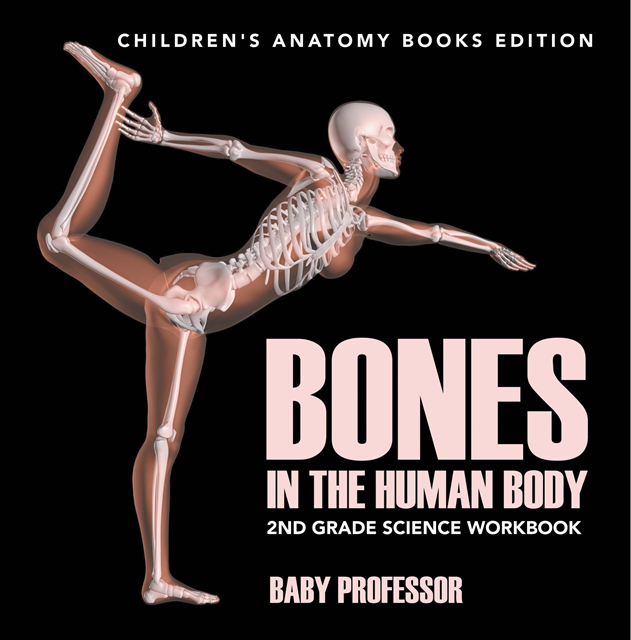 Baby Professor - Bones in The Human Body: 2nd Grade Science Workbook | Children's Anatomy Books Edition, E-bok