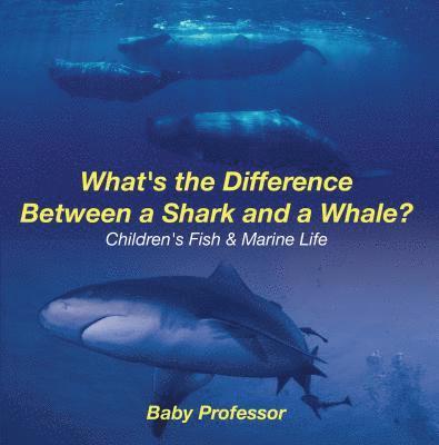 What's the Difference Between a Shark and a Whale?