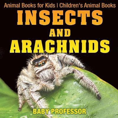 Insects and Arachnids