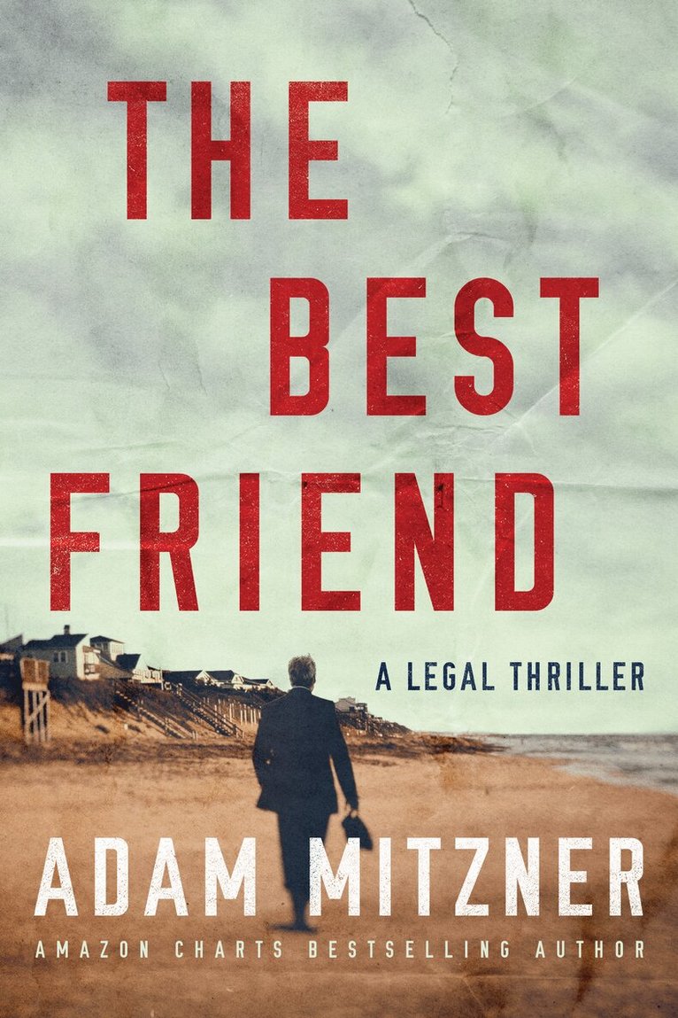Adam Mitzner - Best Friend, Häftad