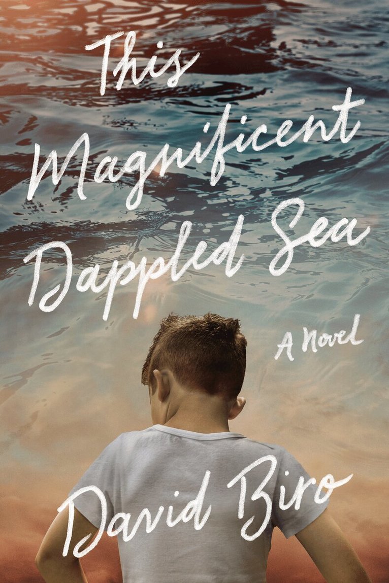 David Biro - This Magnificent Dappled Sea, Häftad. Tillgänglighet: Tillfälligt slut