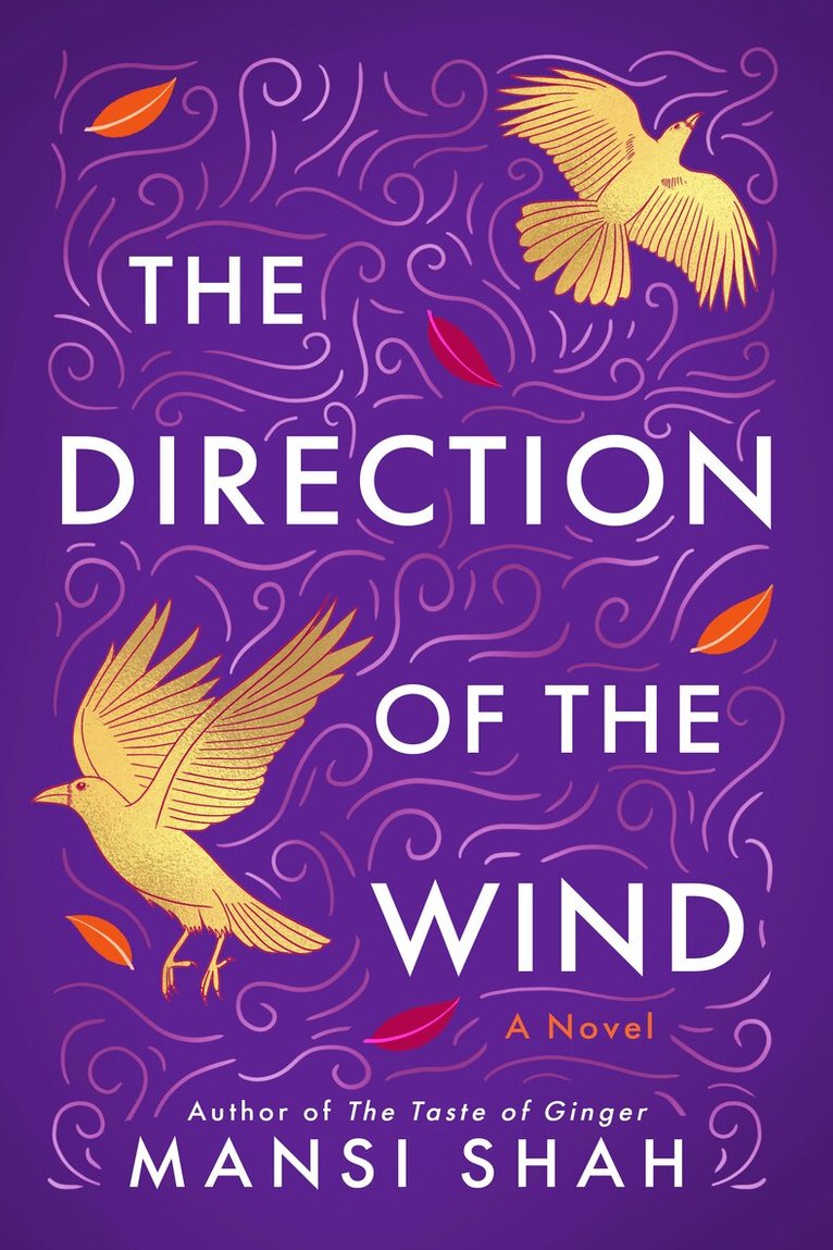 Mansi Shah - Direction of the Wind, Häftad