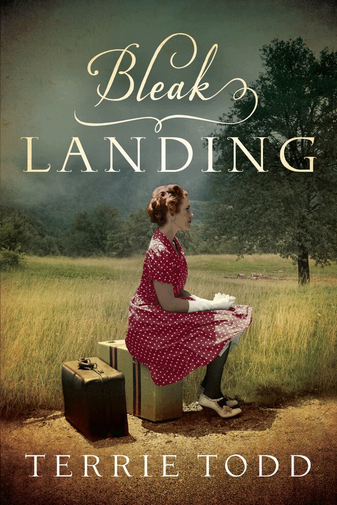 Terrie Todd - Bleak Landing, Häftad