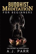 Buddhist Meditation for Beginners: (Understanding Dalai Lama, Eckhart Tolle, Jiddu Krishnamurti & Alan Watts)