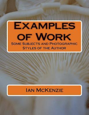 Ian McKenzie - Examples of Work: Some Subjects and Photographic Styles of the Author, Häftad