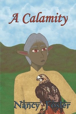 Nancy Foster - Calamity, Häftad. Tillgänglighet: Lägg i varukorg