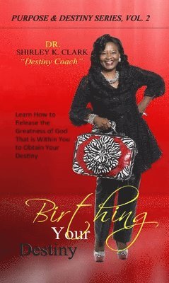 Shirley K Clark - Birthing Your Destiny, Häftad