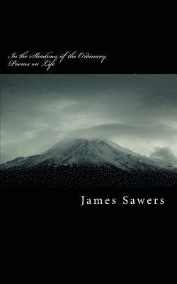 In the Shadows of the Ordinary: Poems on Life