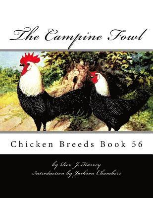 J. Harvey - The Campine Fowl: Chicken Breeds Book 56, Häftad. Tillgänglighet: Lägg i varukorg