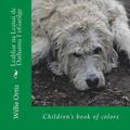 Leabhar na Leanai de Dathanna I nGaeilge: Children's book of colors