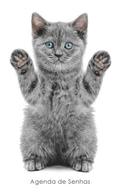Agenda de Senhas: Agenda para endereos eletrnicos e senhas: Capa gatinho brincalho - Portugus (Brasil)