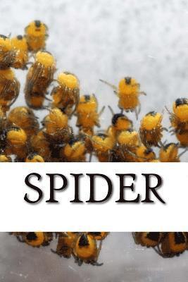 Spider - Spider, Häftad. Tillgänglighet: Lägg i varukorg
